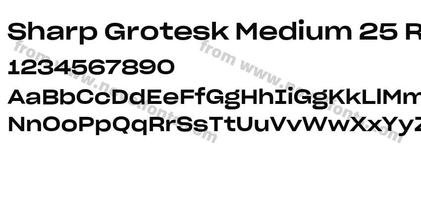 Sharp Grotesk Medium 25 RegularPreview