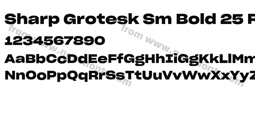 Sharp Grotesk Sm Bold 25 RegularPreview