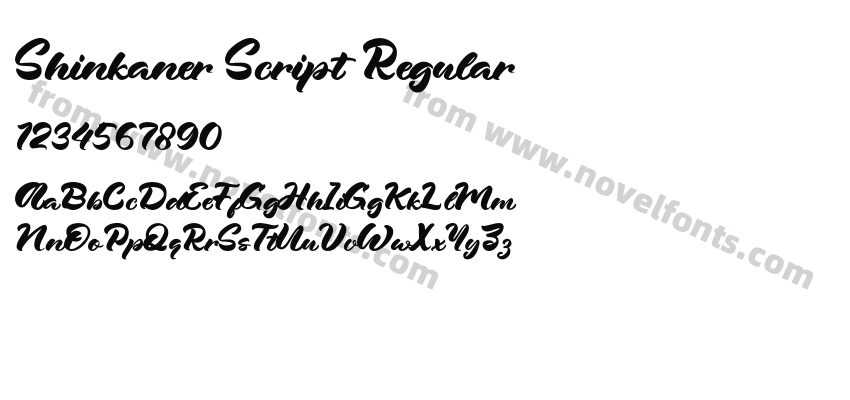 Shinkaner Script RegularPreview