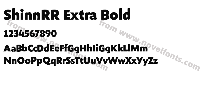 ShinnRR Extra BoldPreview