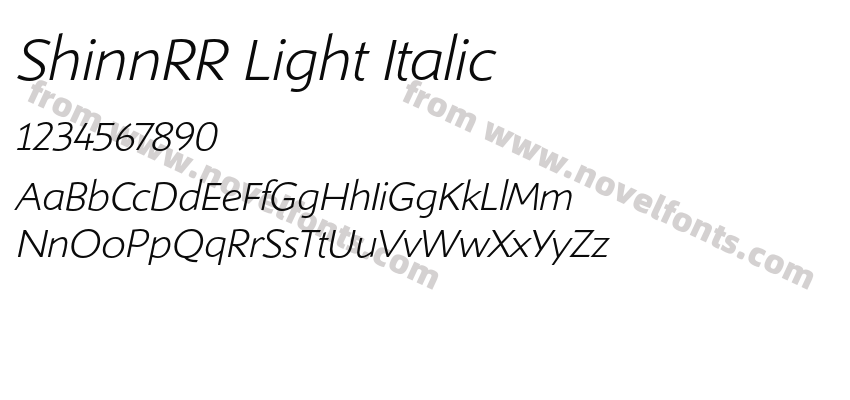 ShinnRR Light ItalicPreview