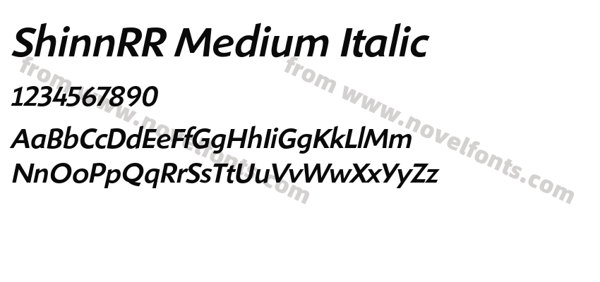 ShinnRR Medium ItalicPreview