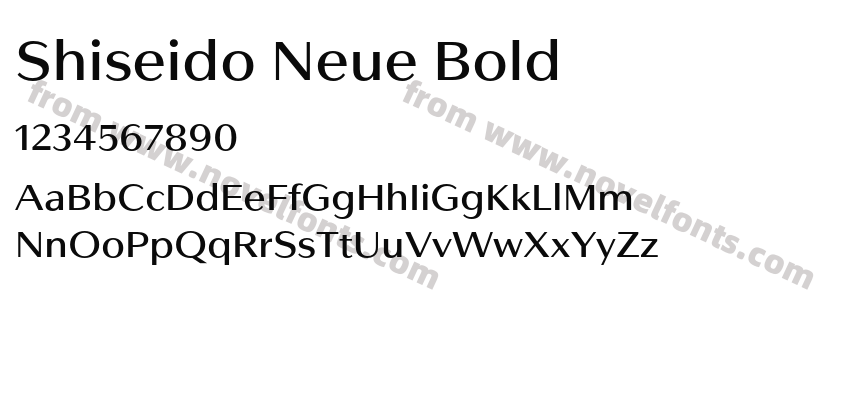 Shiseido Neue BoldPreview