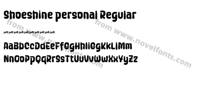Shoeshine personal RegularPreview