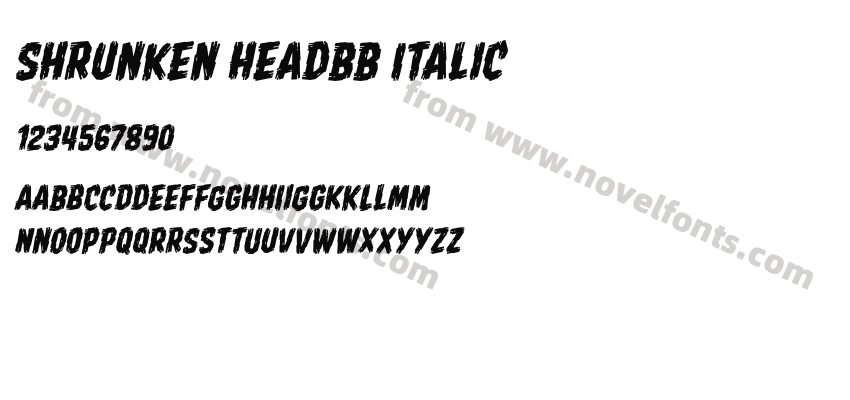 Shrunken HeadBB ItalicPreview