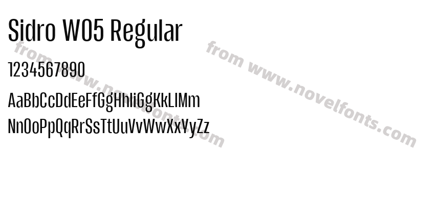 Sidro W05 RegularPreview