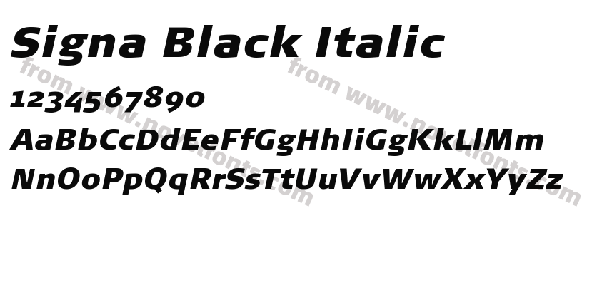 Signa Black ItalicPreview
