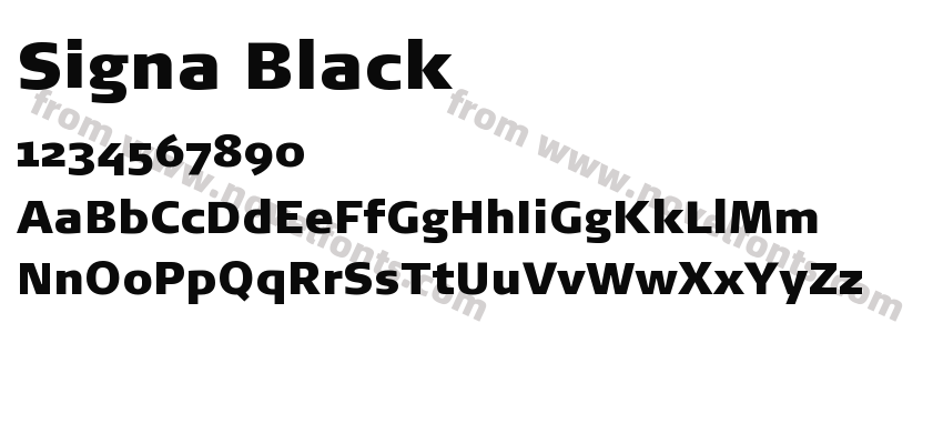 Signa BlackPreview