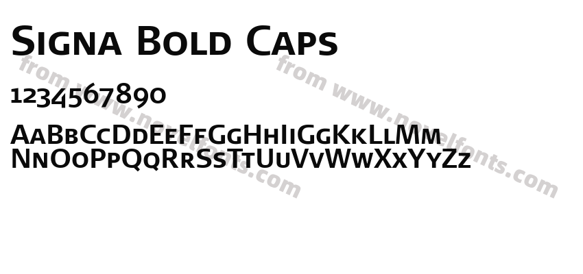 Signa Bold CapsPreview