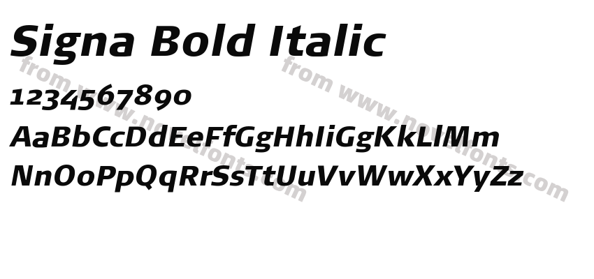 Signa Bold ItalicPreview