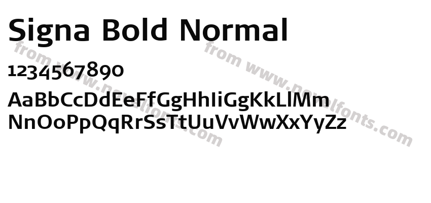 Signa Bold NormalPreview