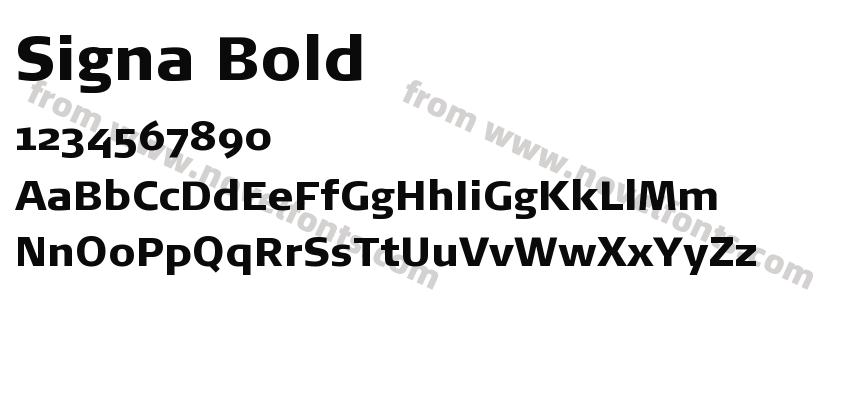 Signa BoldPreview