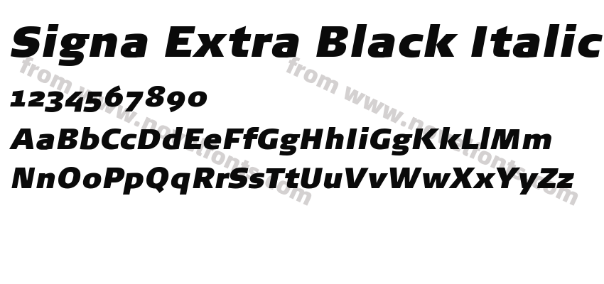 Signa Extra Black ItalicPreview