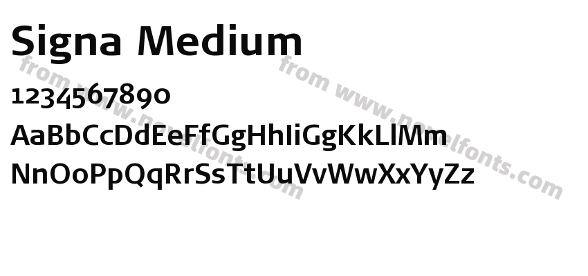 Signa MediumPreview
