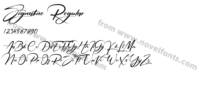 Signatine RegularPreview