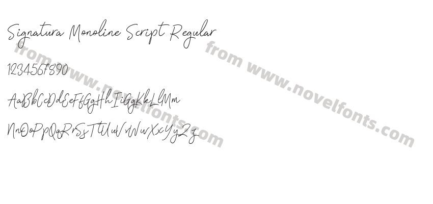 Signatura Monoline Script RegularPreview