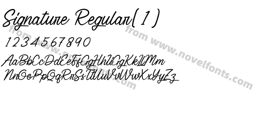 Signature Regular(1)Preview