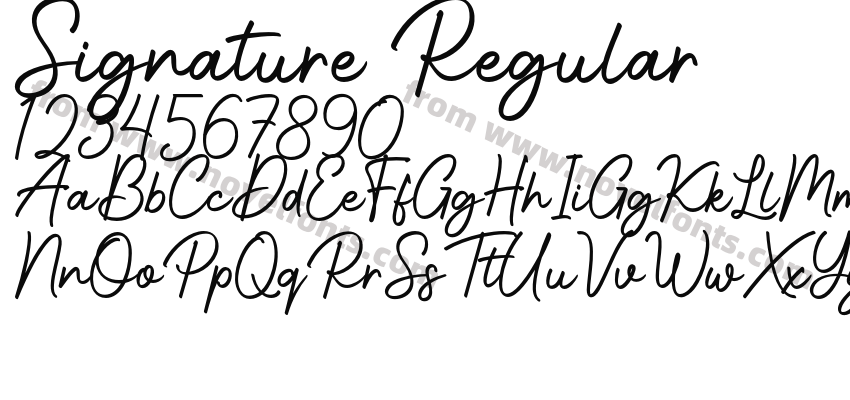 Signature RegularPreview