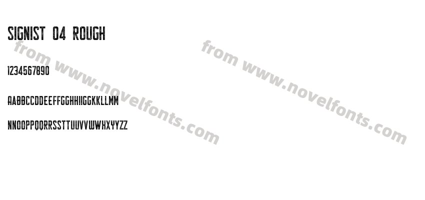 Signist 04 RoughPreview
