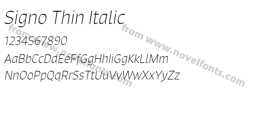 Signo Thin ItalicPreview