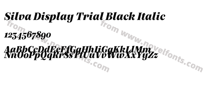 Silva Display Trial Black ItalicPreview
