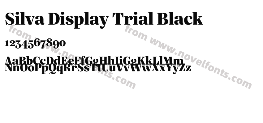 Silva Display Trial BlackPreview