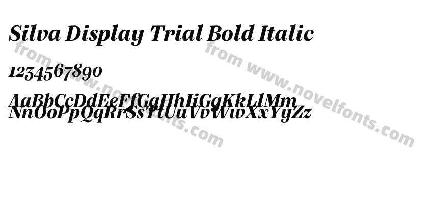 Silva Display Trial Bold ItalicPreview