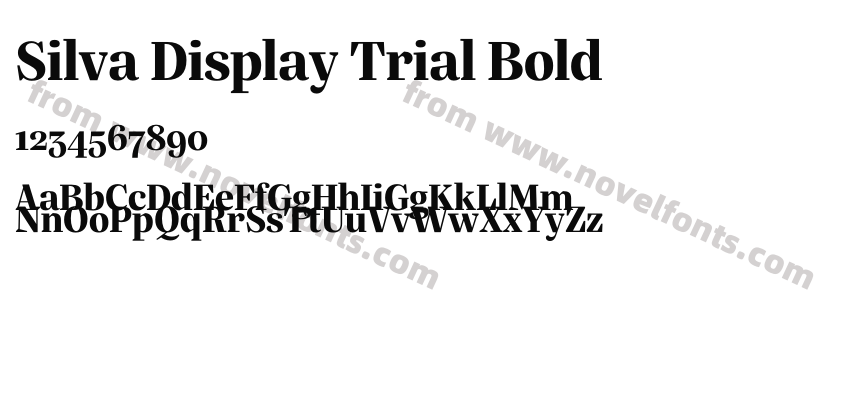 Silva Display Trial BoldPreview
