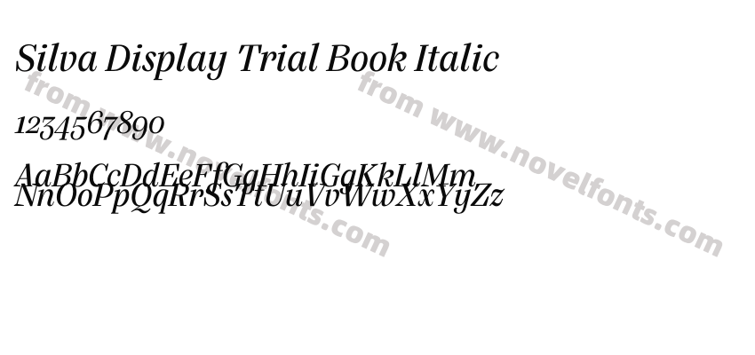 Silva Display Trial Book ItalicPreview