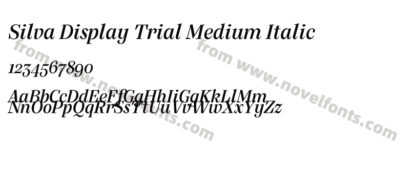 Silva Display Trial Medium ItalicPreview
