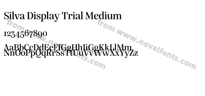 Silva Display Trial MediumPreview