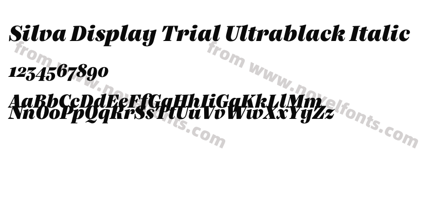 Silva Display Trial Ultrablack ItalicPreview