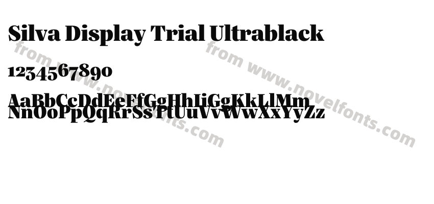 Silva Display Trial UltrablackPreview