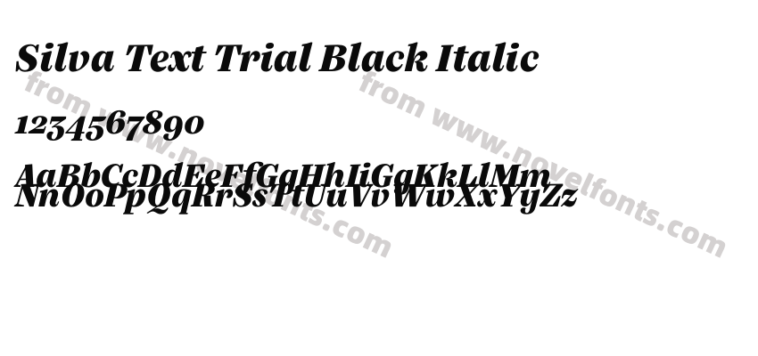 Silva Text Trial Black ItalicPreview