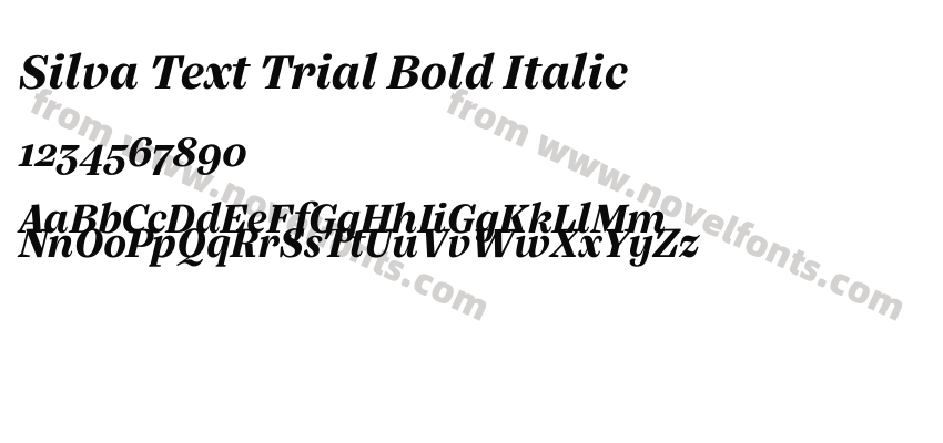 Silva Text Trial Bold ItalicPreview