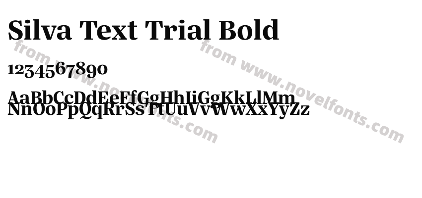 Silva Text Trial BoldPreview