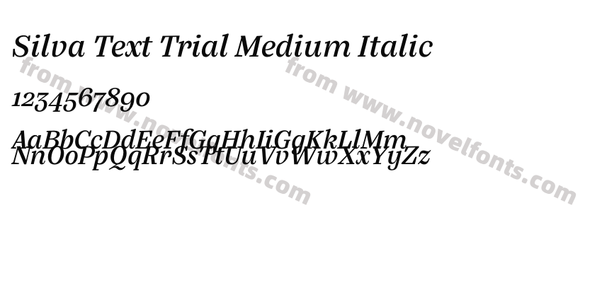 Silva Text Trial Medium ItalicPreview