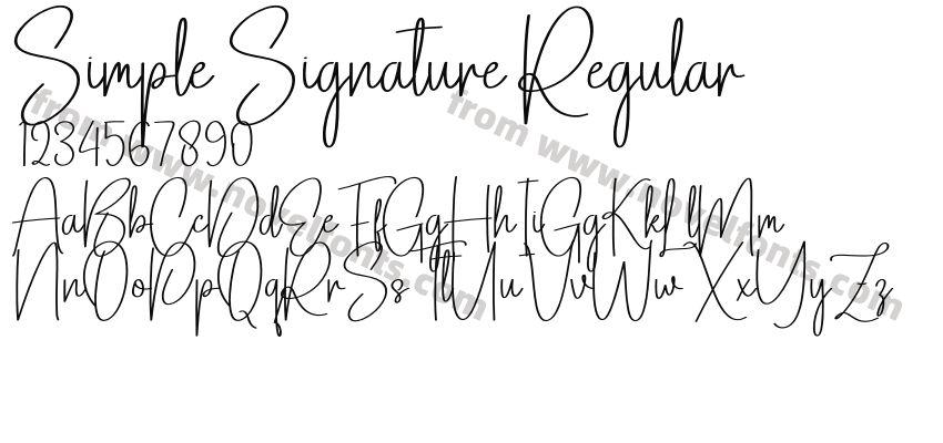 Simple Signature RegularPreview