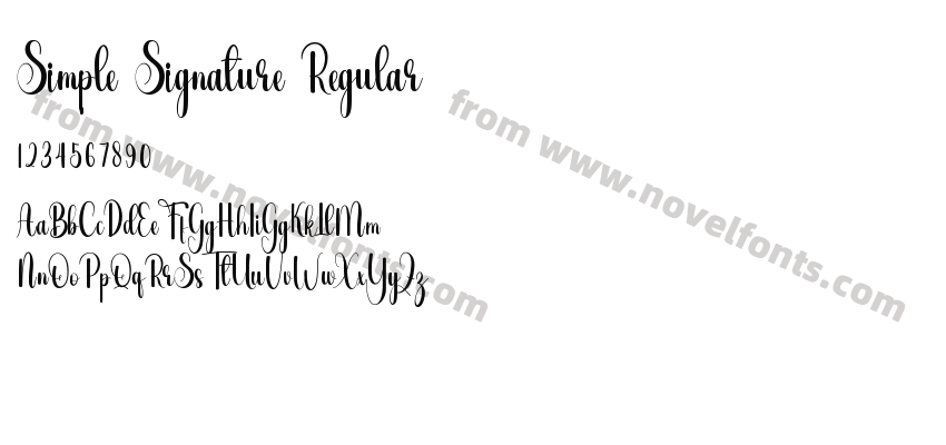 Simple Signature RegularPreview