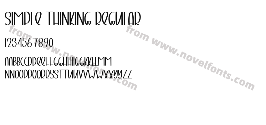 Simple Thinking RegularPreview
