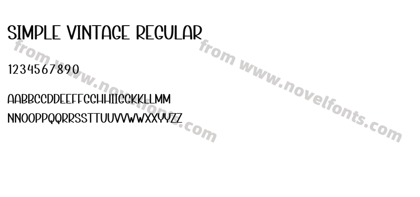 Simple Vintage RegularPreview