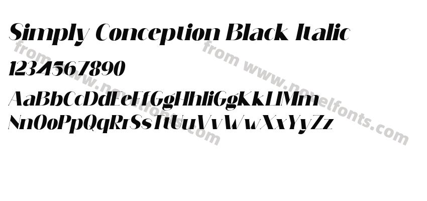 Simply Conception Black ItalicPreview