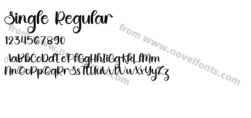 Single RegularPreview