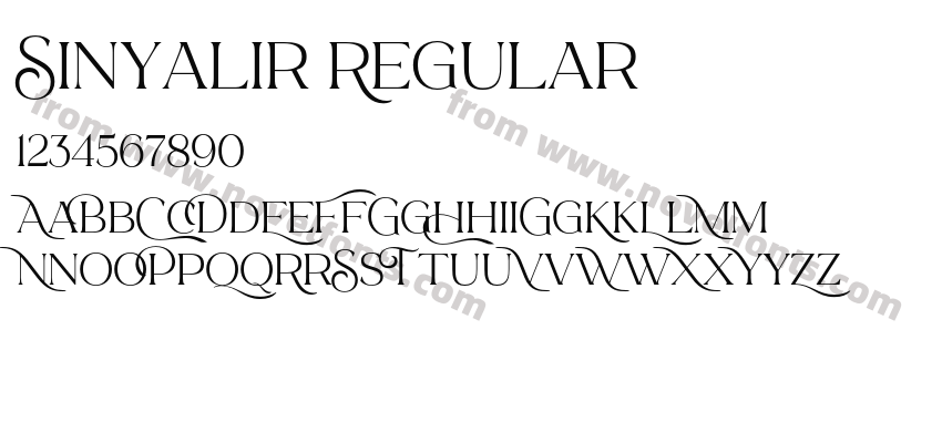Sinyalir RegularPreview