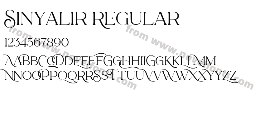 Sinyalir RegularPreview