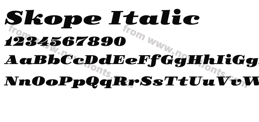Skope ItalicPreview