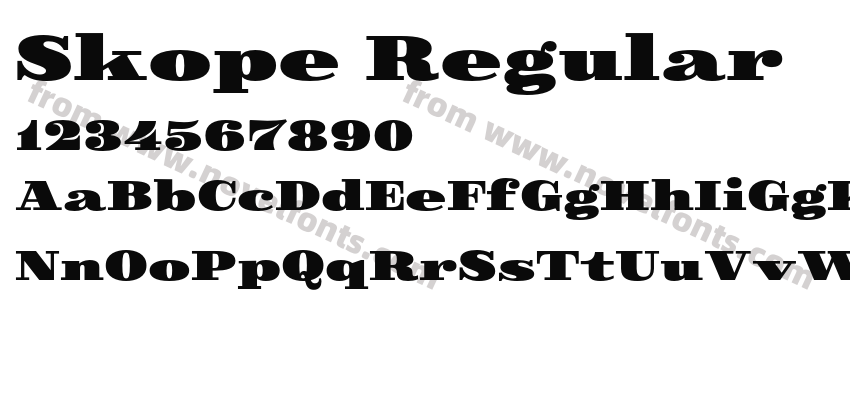 Skope RegularPreview