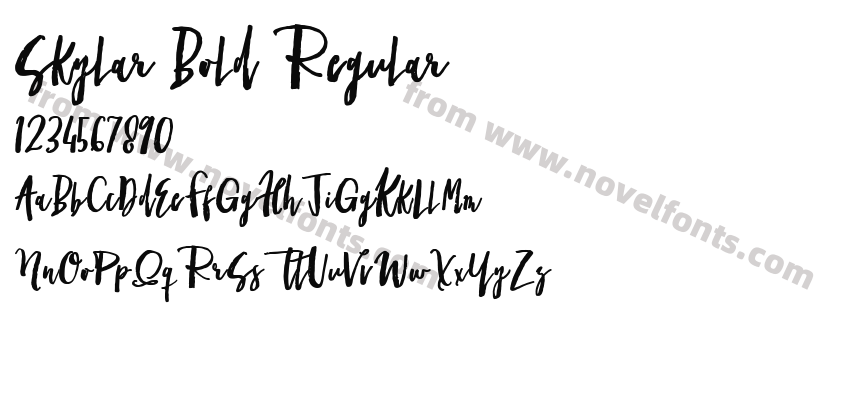 Skylar Bold RegularPreview