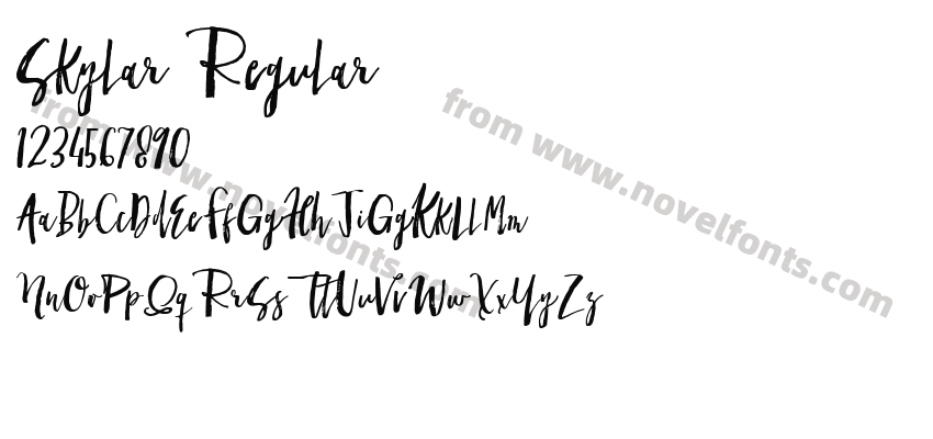 Skylar RegularPreview