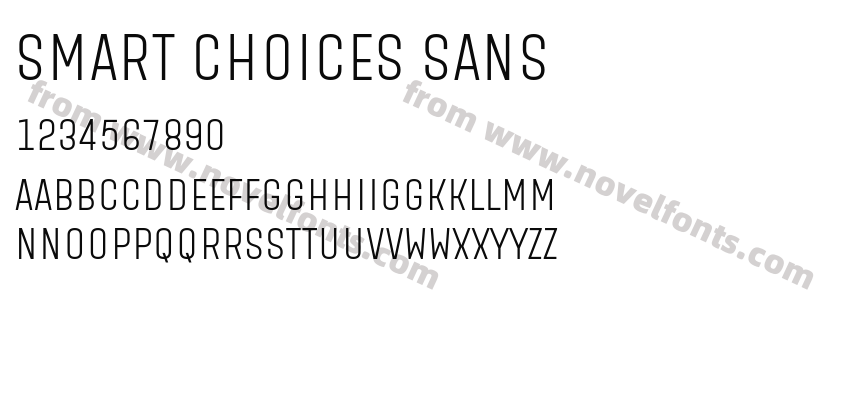 Smart Choices SansPreview